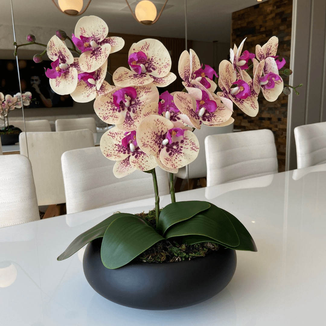 ARRANJO DE ORQUÍDEA MISTA COM VASO DE CERÂMICA PRETO CLARA
