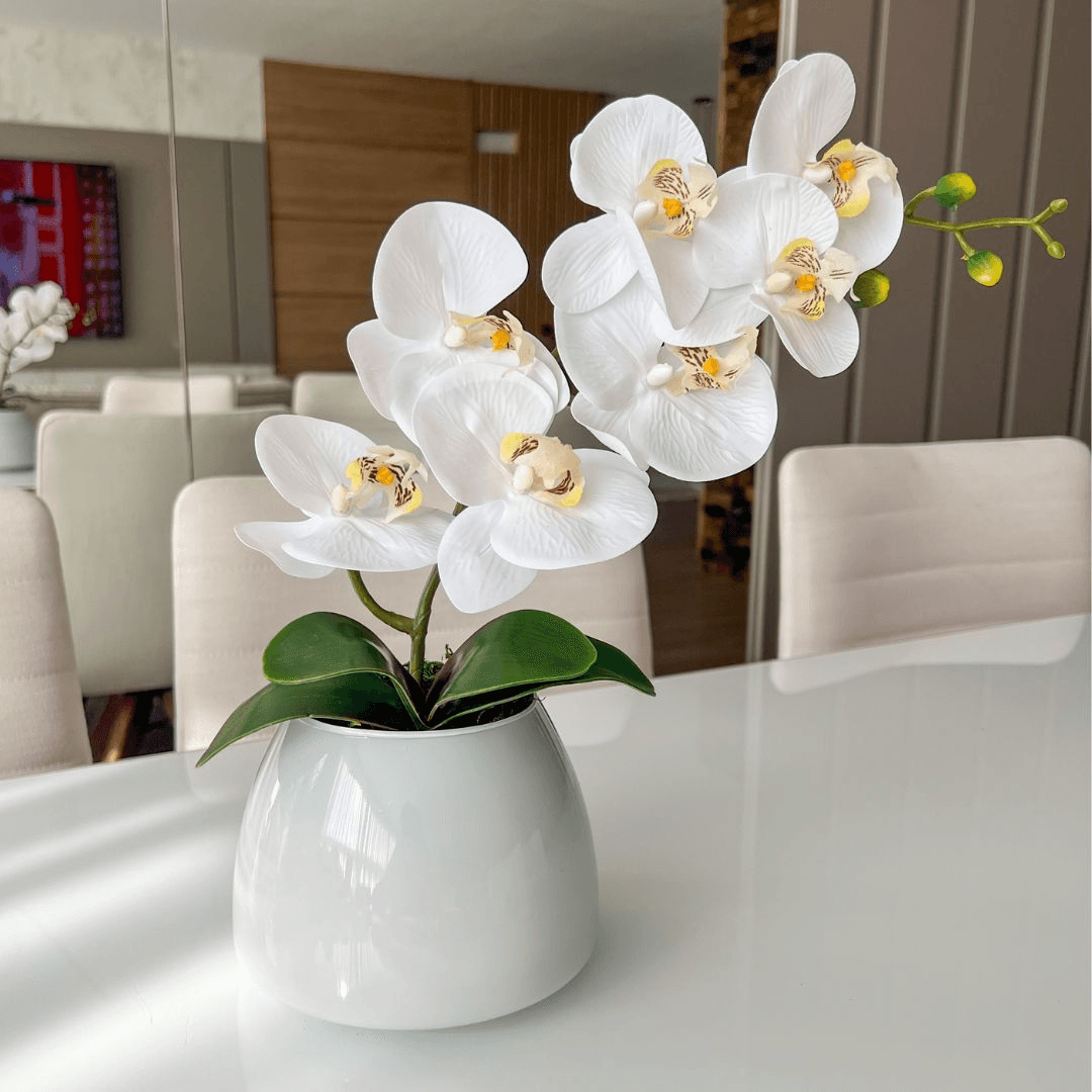 ARRANJO DE ORQUÍDEA BRANCA VASO DE VIDRO BRANCO CAROL