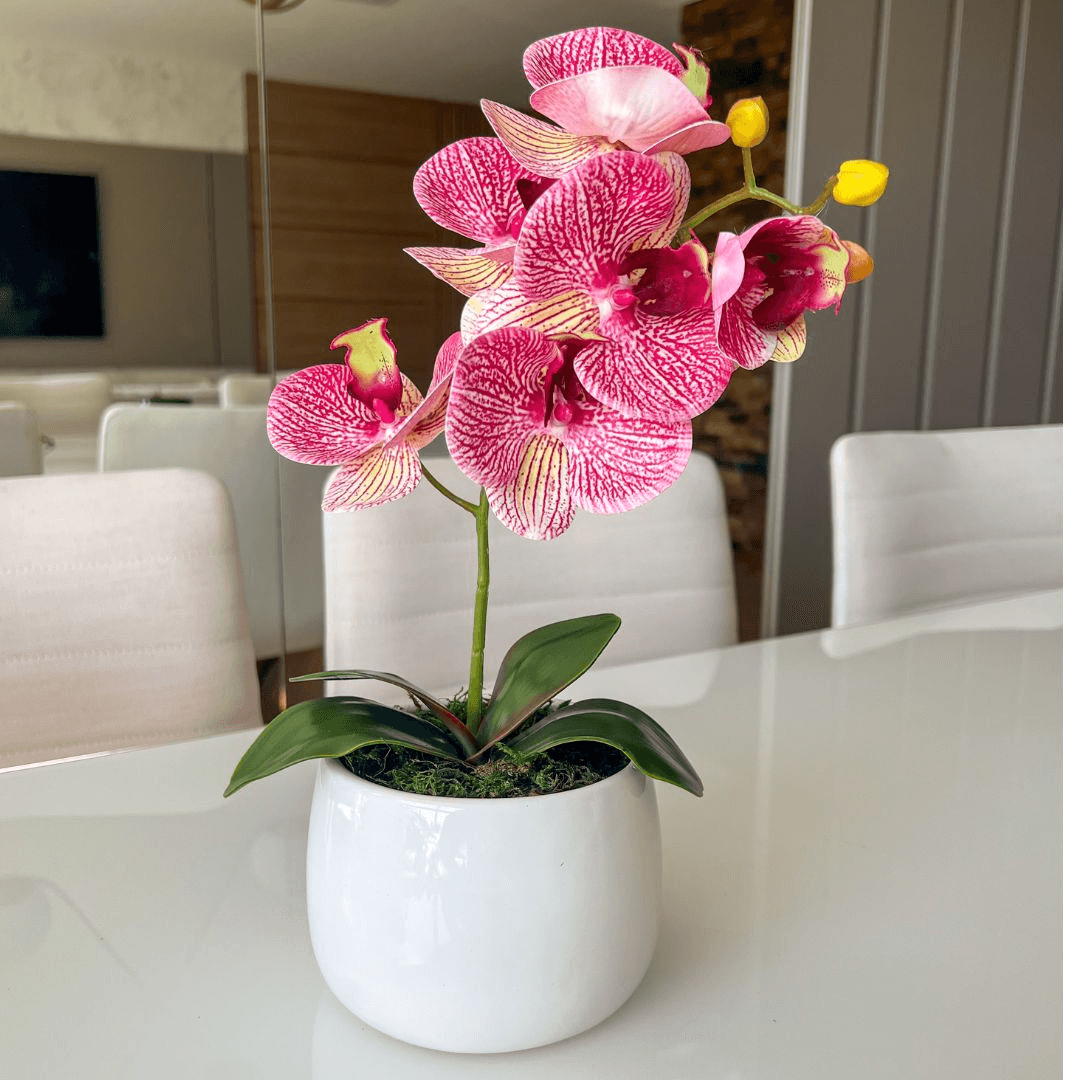 ARRANJO DE ORQUÍDEA MISTA ROSA VASO DE CERÂMICA BRANCO JORDANO