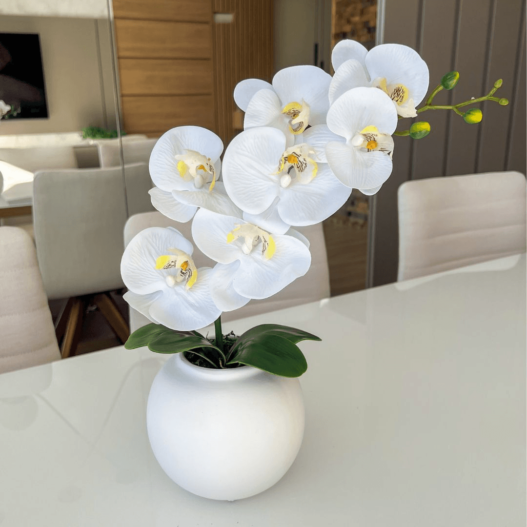 ARRANJO DE ORQUÍDEA BRANCA VASO DE CERÂMICA BRANCO DAVID