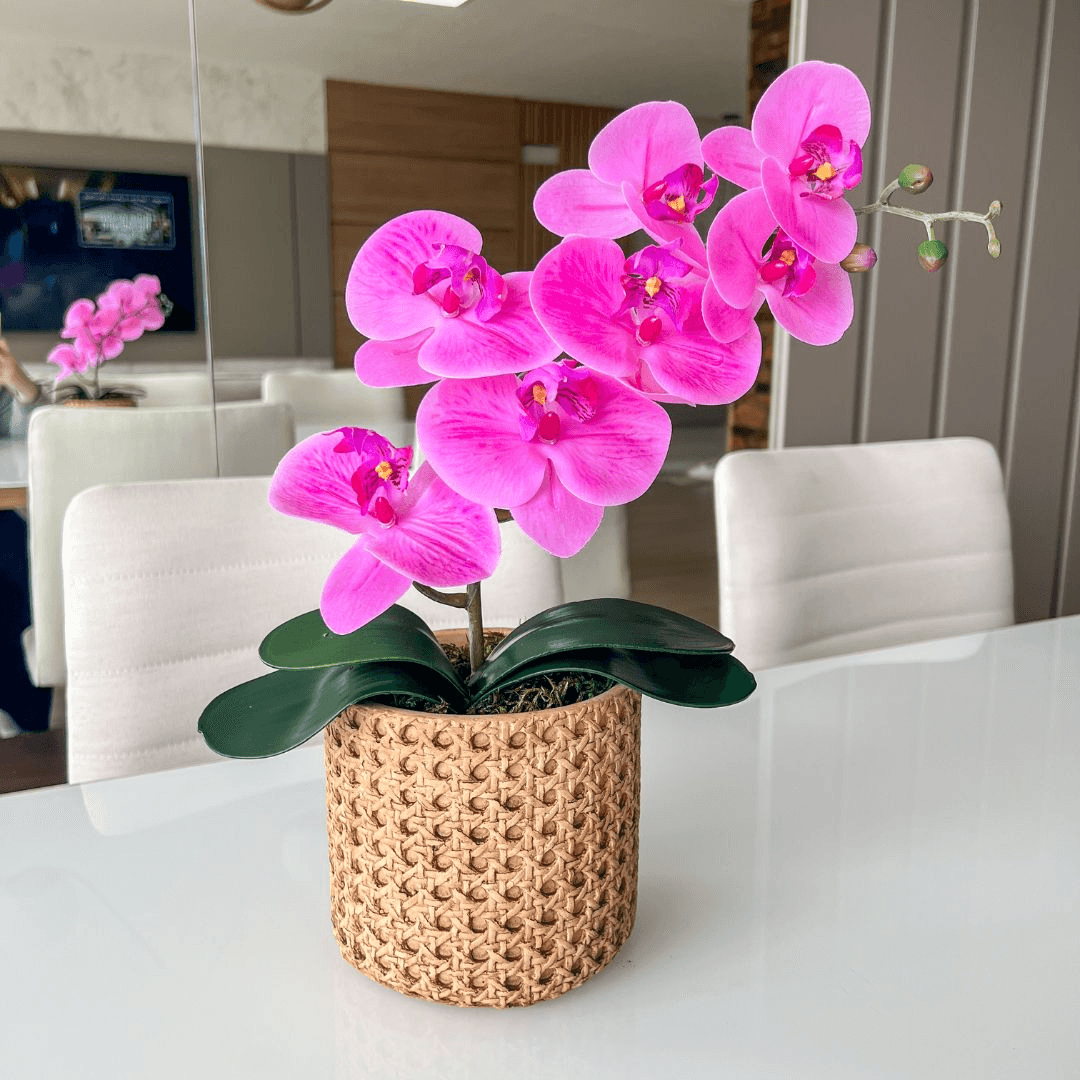 ARRANJO DE ORQUÍDEA ROSA VASO DE CIMENTO NOAH