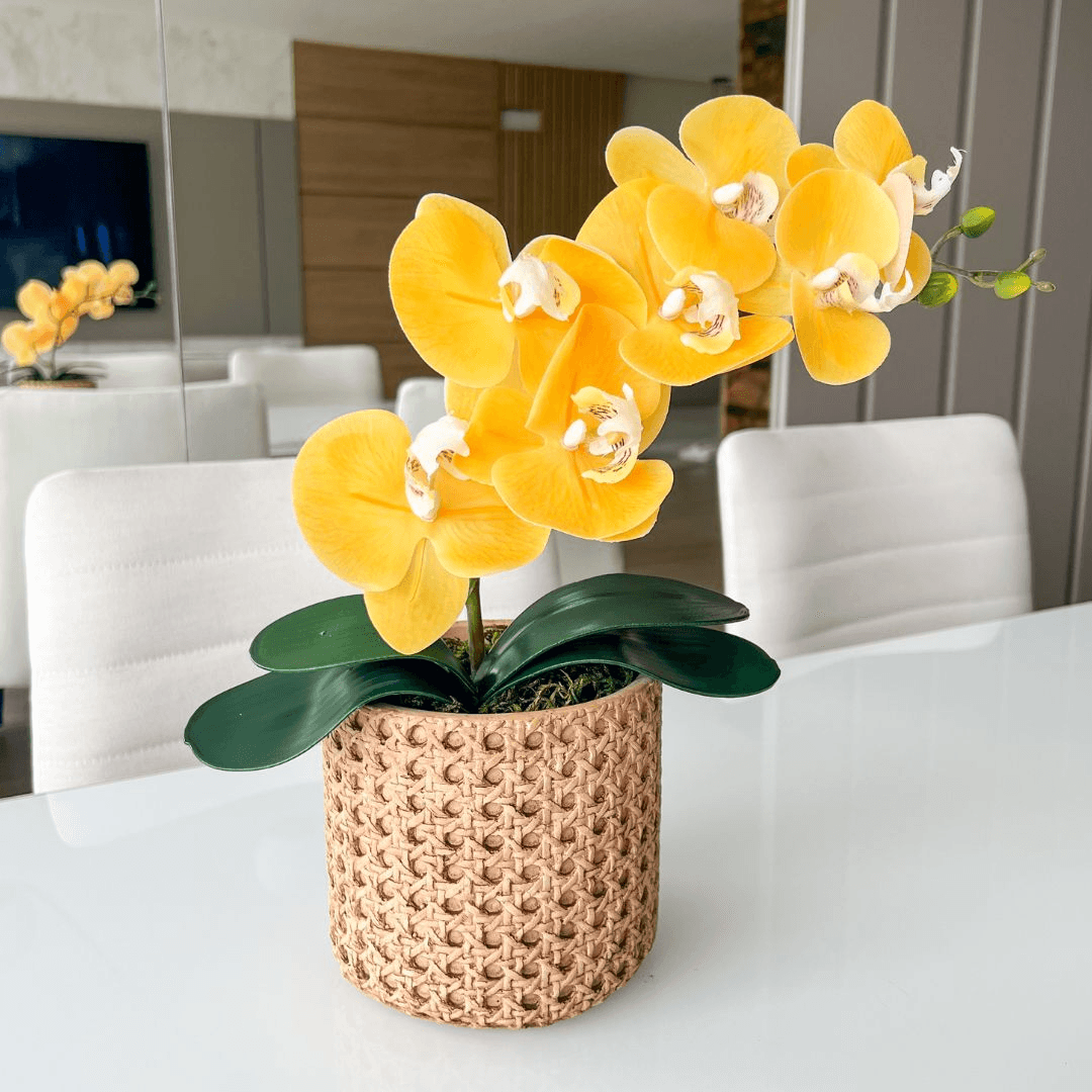 ARRANJO DE ORQUÍDEA AMARELA VASO DE CIMENTO NOAH