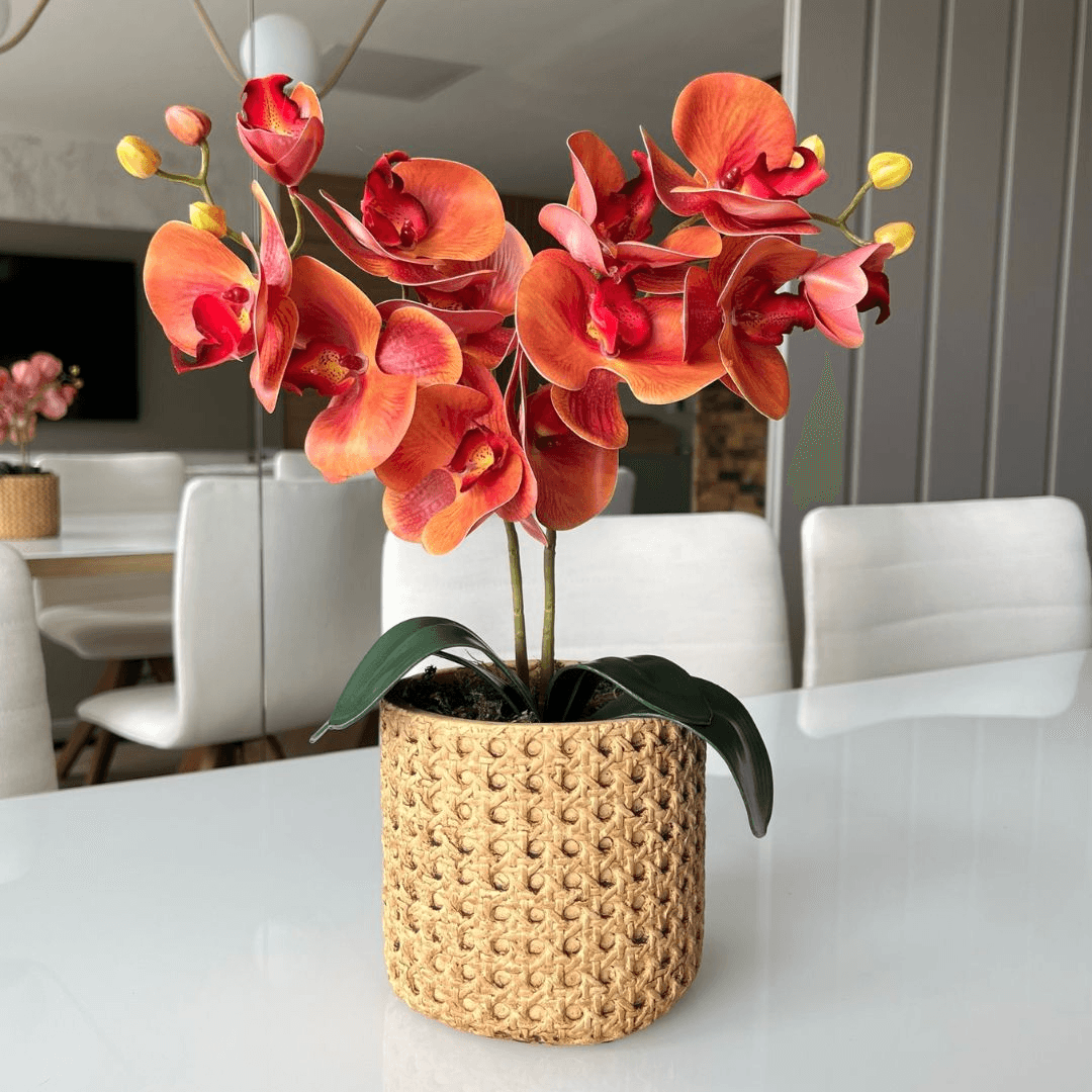 ARRANJO DE ORQUÍDEA LARANJAS VASO DE CIMENTO NOAH